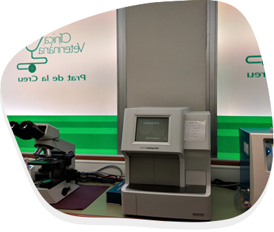 Laboratori