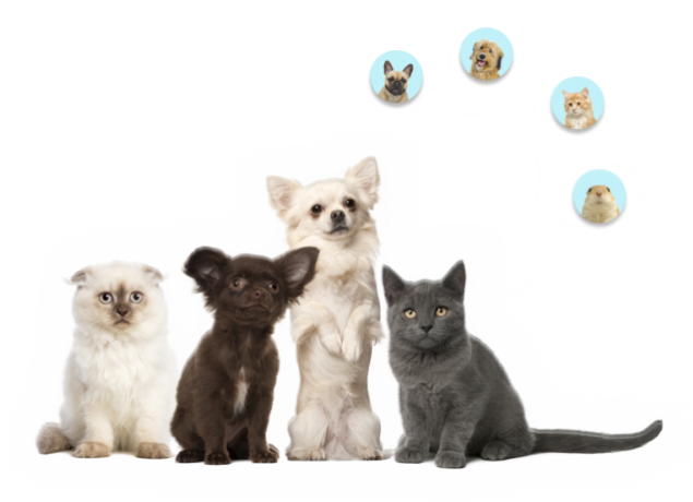 Hospital Veterinari Prat de la Creu
